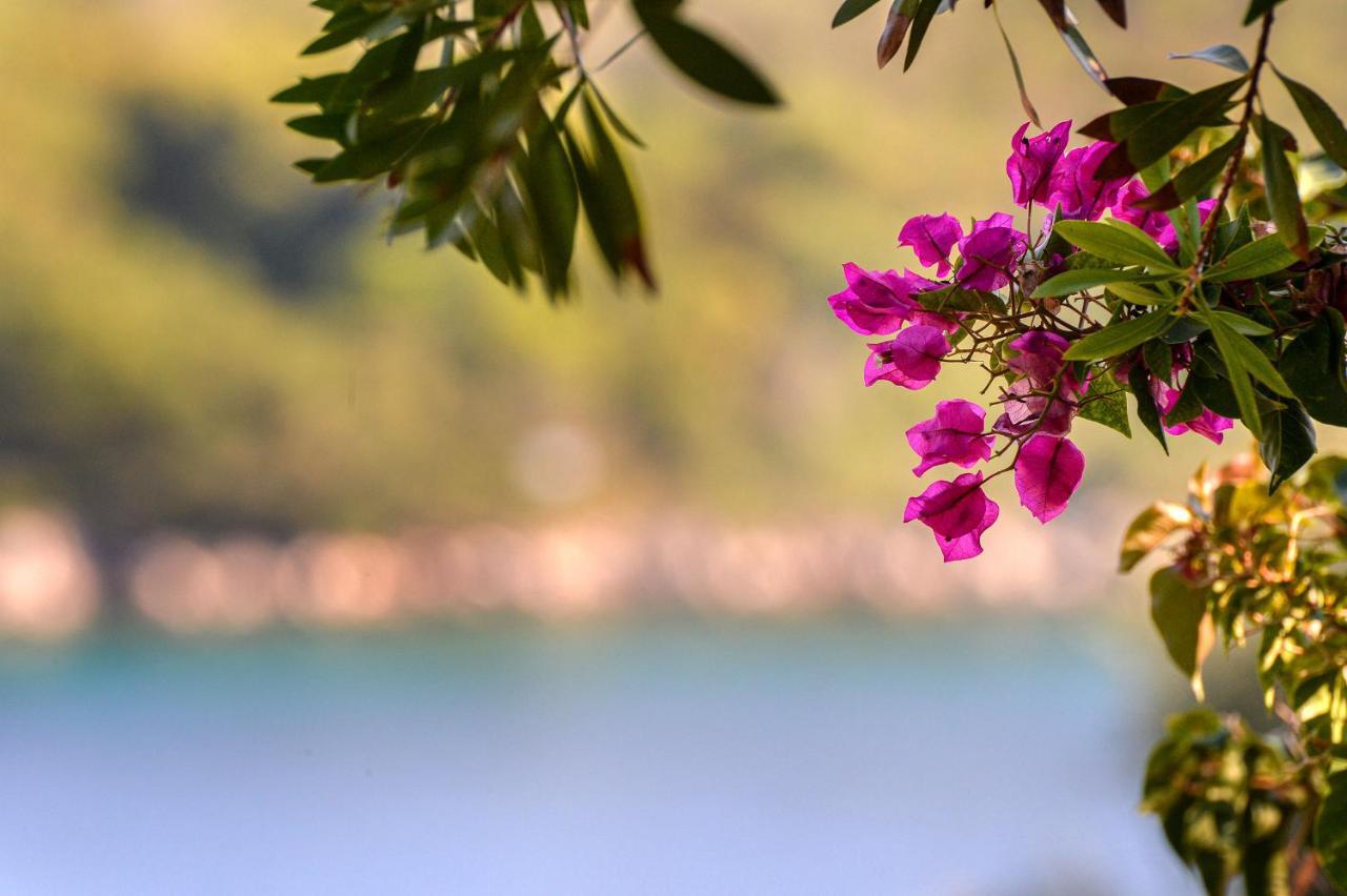 Nereidi Pool Villas Porto Ozias Dış mekan fotoğraf